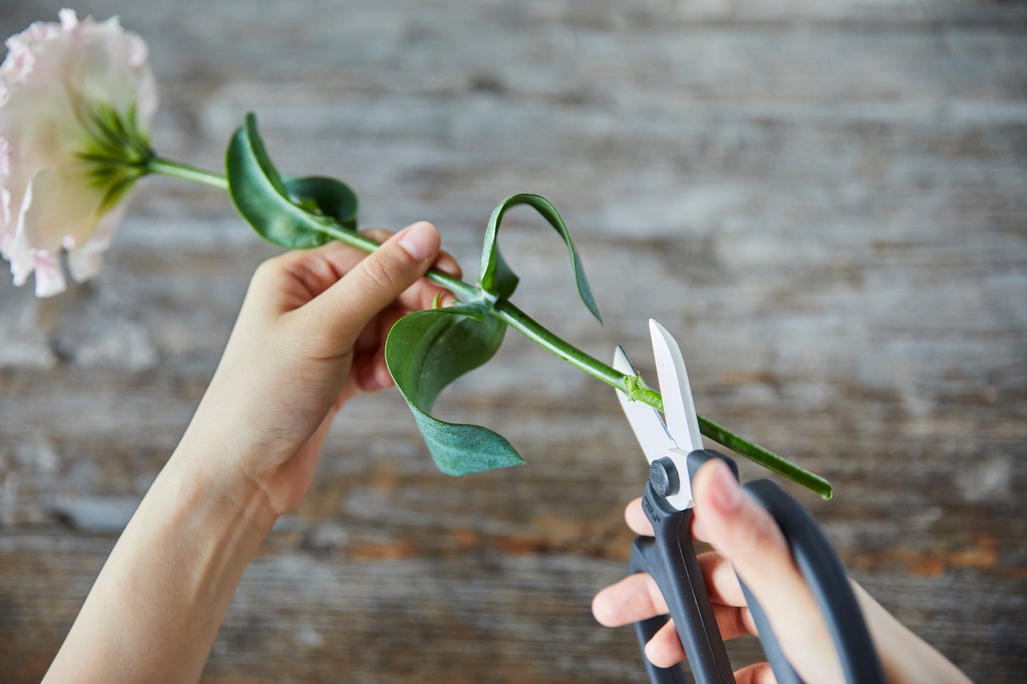 Flower Scissors
