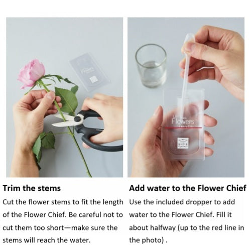 FlowerChief