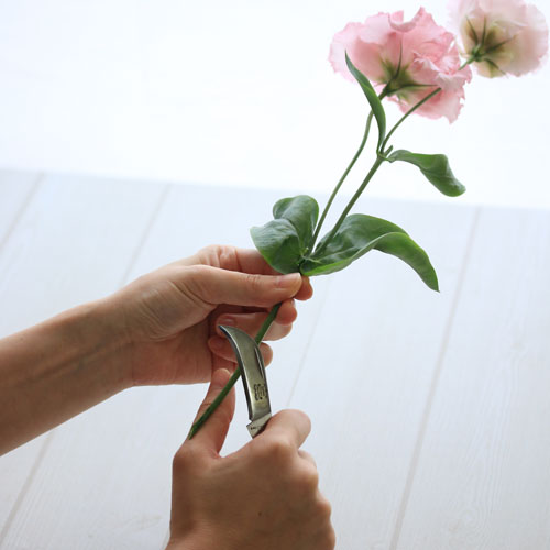 AFM Flower Knife