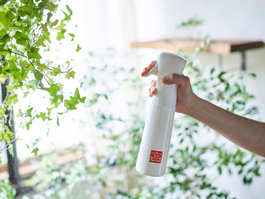 Fine Mist Spray Bottle