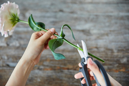 Flower Scissors