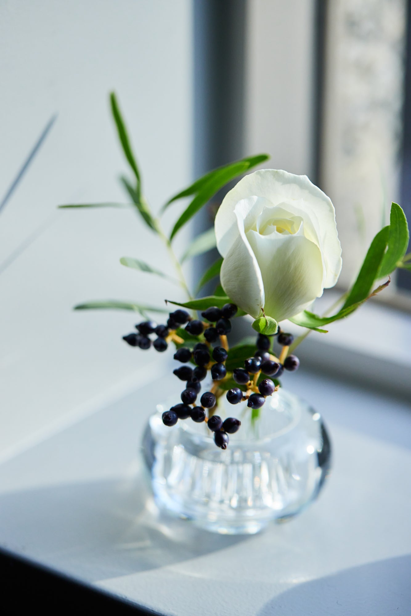 MICHI-KUSA - Kōri (Clear)