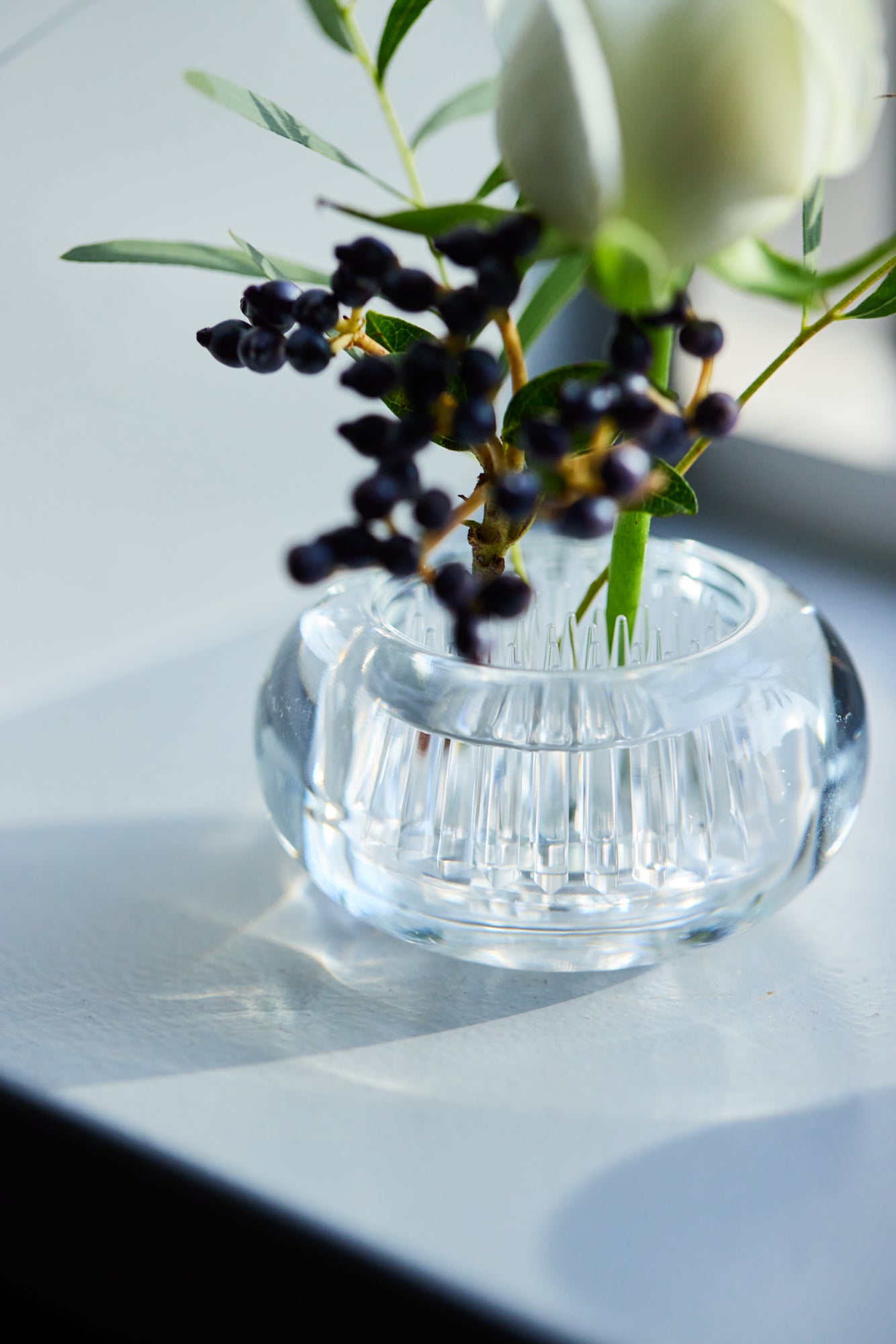 MICHI-KUSA - Kōri (Clear)