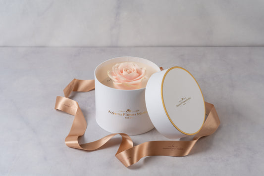 Hat Box Single Fresh Rose -Pastel Pink