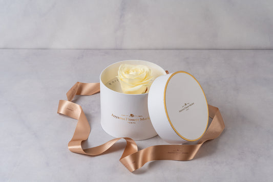 Hat Box Single Fresh Rose -White