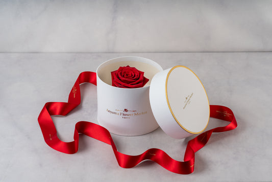 Hat Box Single Fresh Rose -Red