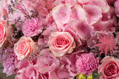 Pink Hydrangea