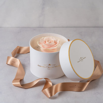 Hat Box Single Fresh Rose -Pastel Pink
