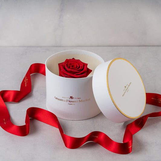 Hat Box Single Fresh Rose -Red