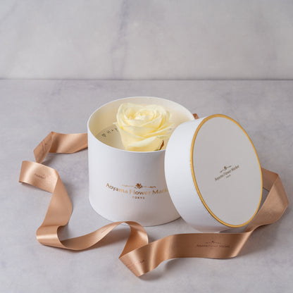 Hat Box Single Fresh Rose -White