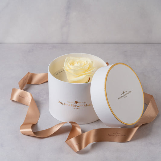 Hat Box Single Fresh Rose -White