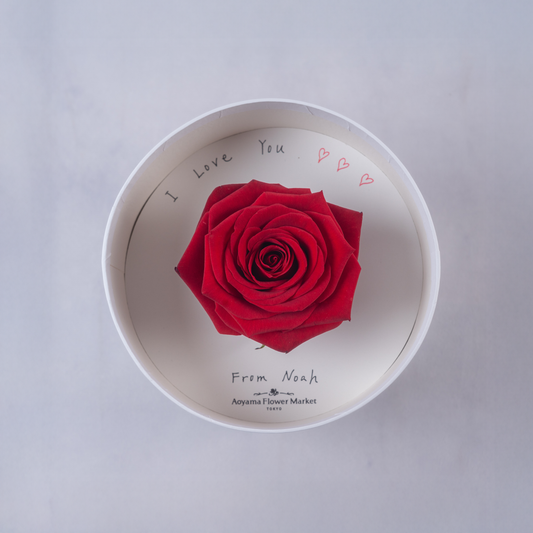 Hat Box Single Fresh Rose -Red