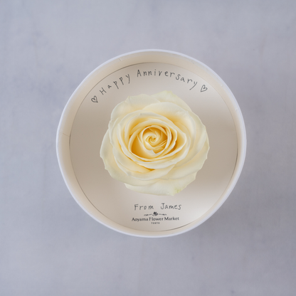 Hat Box Single Fresh Rose -White